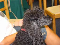 Resize of DSC05684.JPG